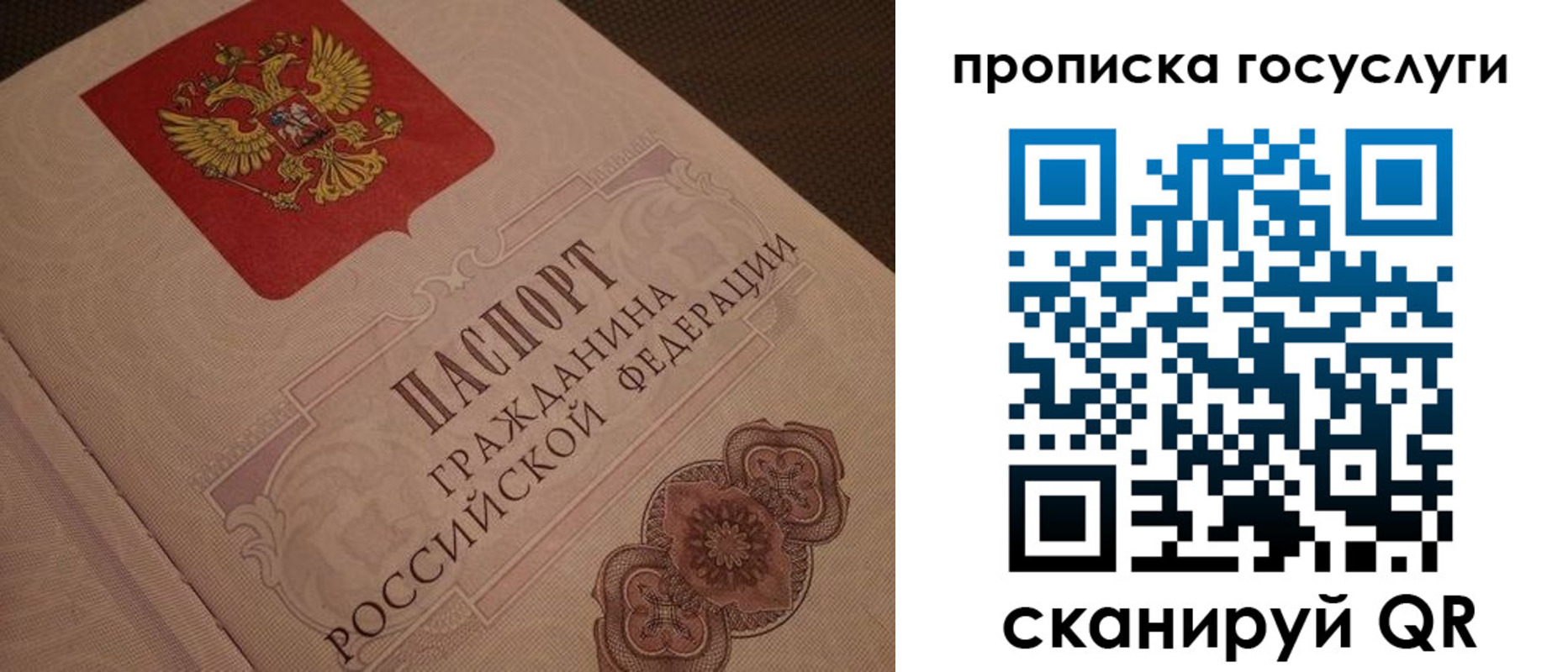 прописка для работы в Светлогорске